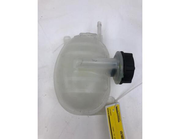 Coolant Expansion Tank FORD USA MUSTANG MACH-E (CGW)