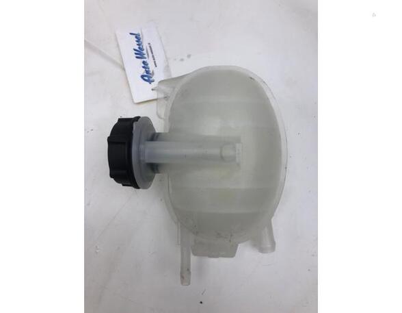 Coolant Expansion Tank FORD USA MUSTANG MACH-E (CGW)