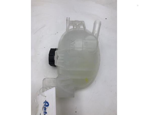 Coolant Expansion Tank FORD USA MUSTANG MACH-E (CGW)