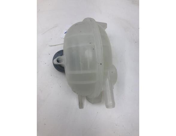 Coolant Expansion Tank FORD USA MUSTANG MACH-E (CGW)