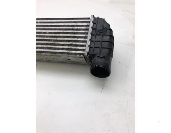 Intercooler SSANGYONG KORANDO (CK)