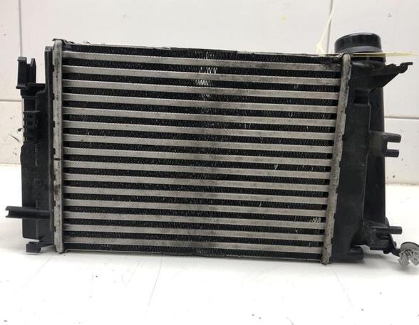 Intercooler NISSAN QASHQAI II SUV (J11, J11_)