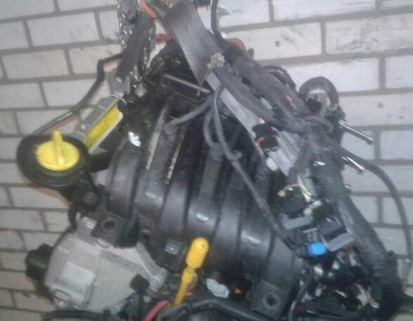 Motor kaal RENAULT Twingo II (CN0)