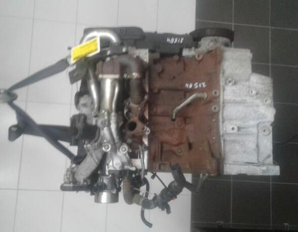 Bare Engine RENAULT MEGANE II Estate (KM0/1_)