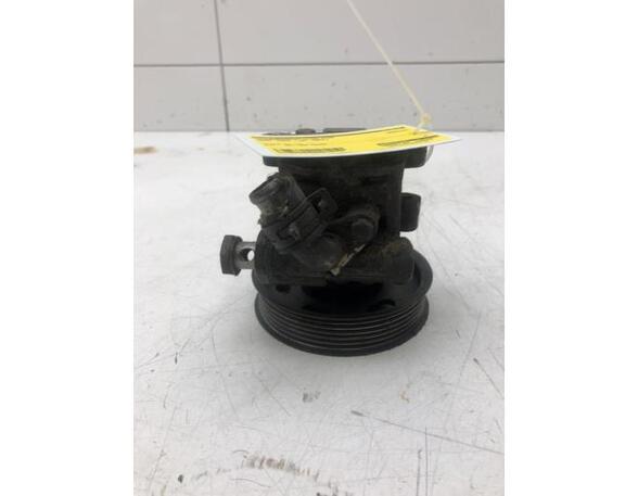 Power steering pump SEAT INCA (6K9)