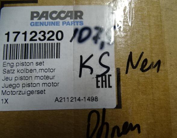 Piston for DAF LF 45 Paccar 1712320 1703535 1704036 DAF PX7