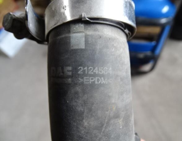 Radiateurslang voor DAF XF 105 Paccar DAF 2124564