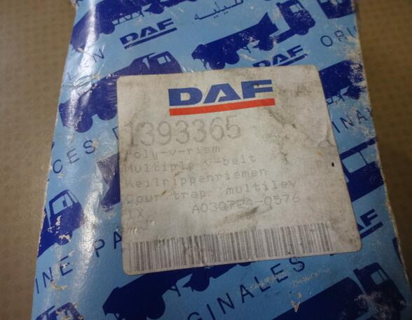 V Ribbed Belt DAF XF 105 1393365