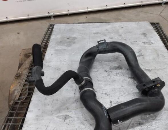 Cooling System for DAF 45