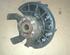 Stub Axle VW Golf V (1K1)