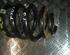 Coil Spring VW Transporter V Kasten (7EA, 7EH, 7HA, 7HH)