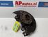 Stub Axle AUDI A3 (8P1), AUDI A3 Sportback (8PA)