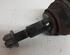 Drive Shaft AUDI Q7 (4LB)