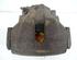 Brake Caliper AUDI A4 (8EC, B7)