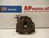 Brake Caliper AUDI A4 (8EC, B7)