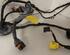 Wiring Harness AUDI A5 (8T3)