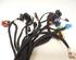 Wiring Harness AUDI A3 (8P1), AUDI A3 Sportback (8PA)