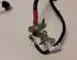 Wiring Harness AUDI A1 (8X1, 8XK), AUDI A1 Sportback (8XA, 8XF)