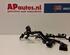 Wiring Harness AUDI A4 (8K2, B8)