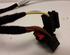 Wiring Harness AUDI A1 (8X1, 8XK), AUDI A1 Sportback (8XA, 8XF)