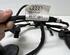 Wiring Harness AUDI A1 (8X1, 8XK), AUDI A1 Sportback (8XA, 8XF)