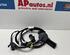 Wiring Harness AUDI A1 (8X1, 8XK), AUDI A1 Sportback (8XA, 8XF)