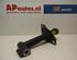 Clip bumper AUDI A4 Avant (8D5, B5)