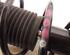 Suspension Strut AUDI A3 Sportback (8VA, 8VF)