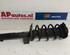 Suspension Strut AUDI A3 (8P1), AUDI A3 Sportback (8PA)