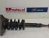 Suspension Strut AUDI A4 (8EC, B7)