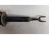 Suspension Strut AUDI A4 Avant (8ED, B7)