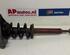 Suspension Strut AUDI A6 Avant (4F5, C6)