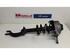 Suspension Strut AUDI A4 Avant (8K5, B8)