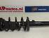 Suspension Strut AUDI A3 (8P1), AUDI A3 Sportback (8PA)