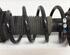 Suspension Strut AUDI A3 (8P1), AUDI A3 Sportback (8PA)