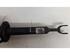 Suspension Strut AUDI A6 (4F2, C6)