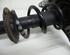 Suspension Strut AUDI A5 (8T3)