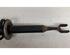 Suspension Strut AUDI A4 Avant (8ED, B7)