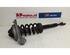 Suspension Strut AUDI A6 Avant (4F5, C6)