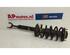 Suspension Strut AUDI A4 (8D2, B5)