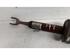 Suspension Strut AUDI A4 Avant (8E5, B6)