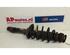 Suspension Strut AUDI A3 (8L1)