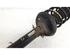 Suspension Strut AUDI A3 (8L1)