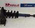 Suspension Strut AUDI A8 (4D2, 4D8)