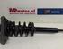 Suspension Strut AUDI A4 (8EC, B7)