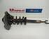 Suspension Strut AUDI A6 (4F2, C6)