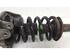 Suspension Strut AUDI A8 (4D2, 4D8)