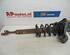 Suspension Strut AUDI A6 Avant (4B5, C5)