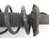 Suspension Strut AUDI A3 (8P1), AUDI A3 Sportback (8PA)