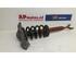 Suspension Strut AUDI A6 Avant (4B5, C5), AUDI ALLROAD (4BH, C5)